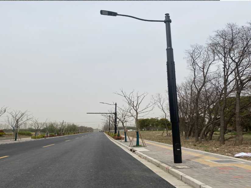 大渡口区上海综合杆 太阳能路灯工程